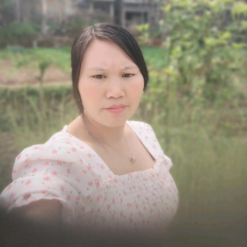 杨琴