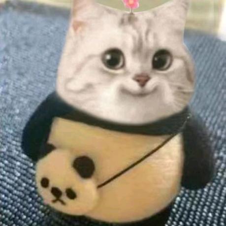 爱冒险的梦