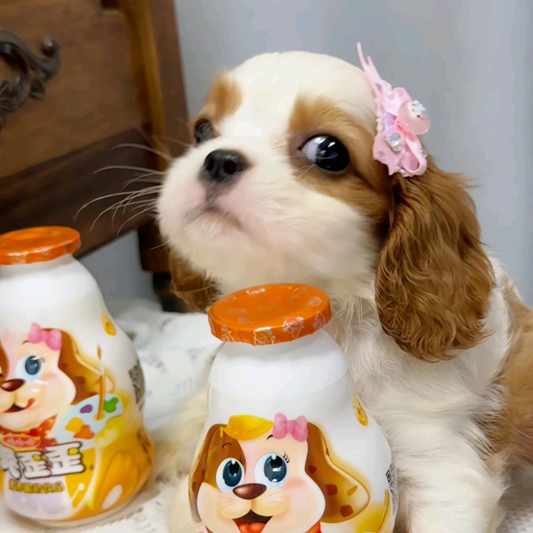 在吃一口就减肥