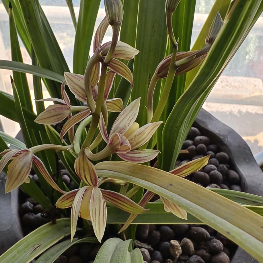 思念远方的你💞