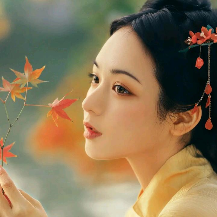 令箭花迷