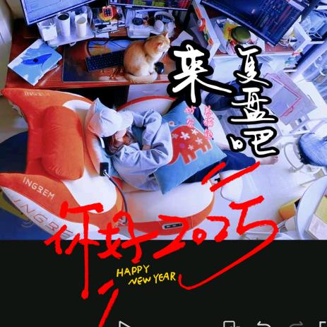 炒股养猫鱼