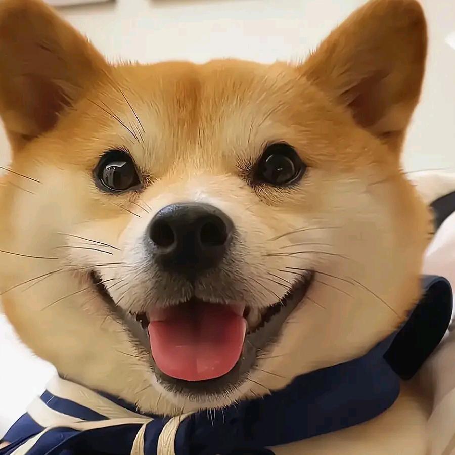 자연에 순응하다.