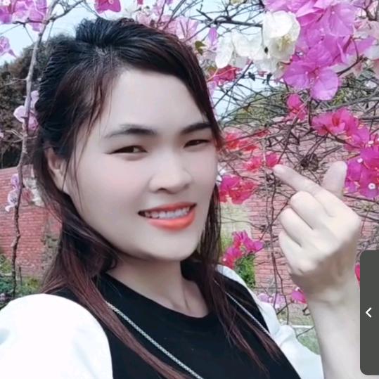 宝妈，（心若菩提）