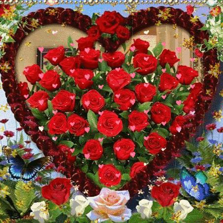 🌹龙九月🌹好好爱自己