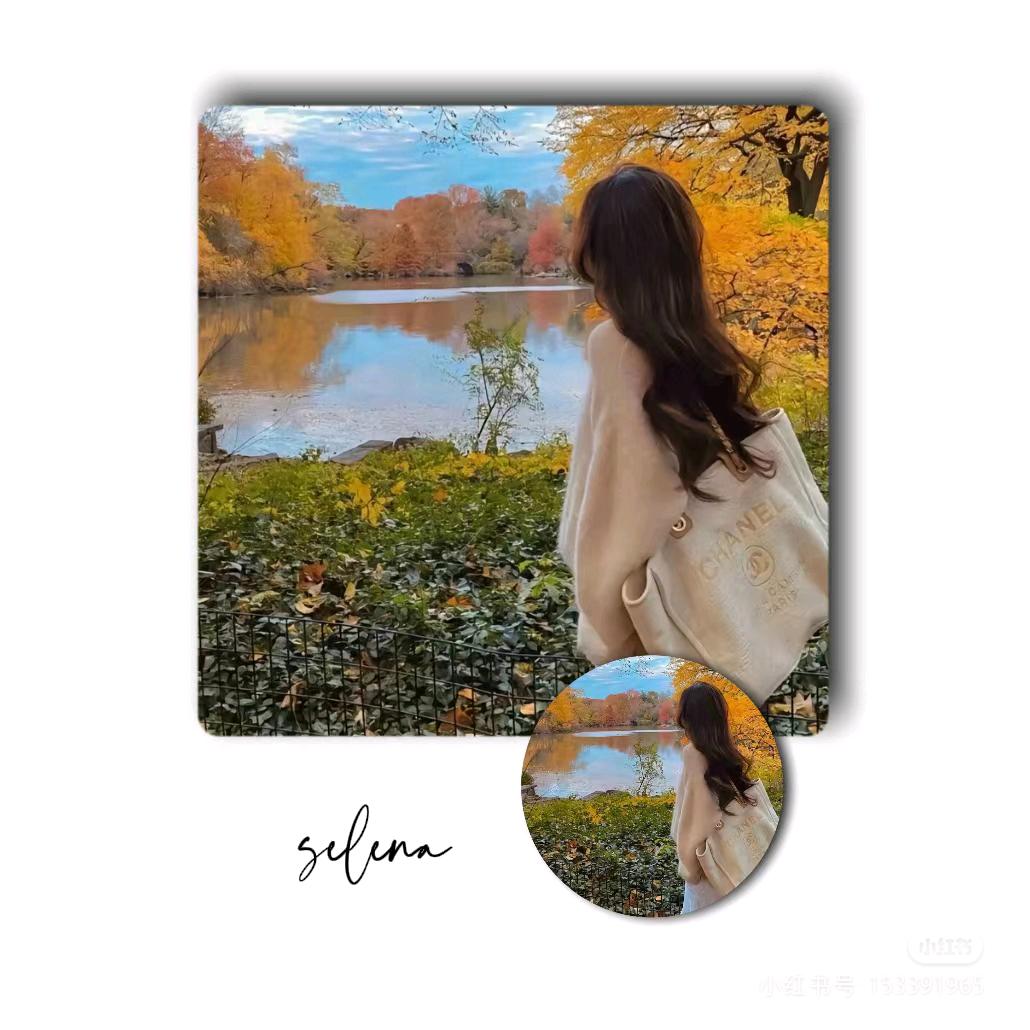 🍁🍁余生🍃随心🍁🍂