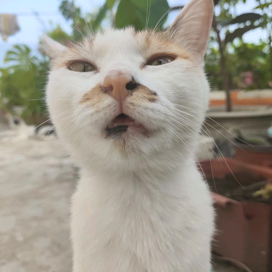 等一束光