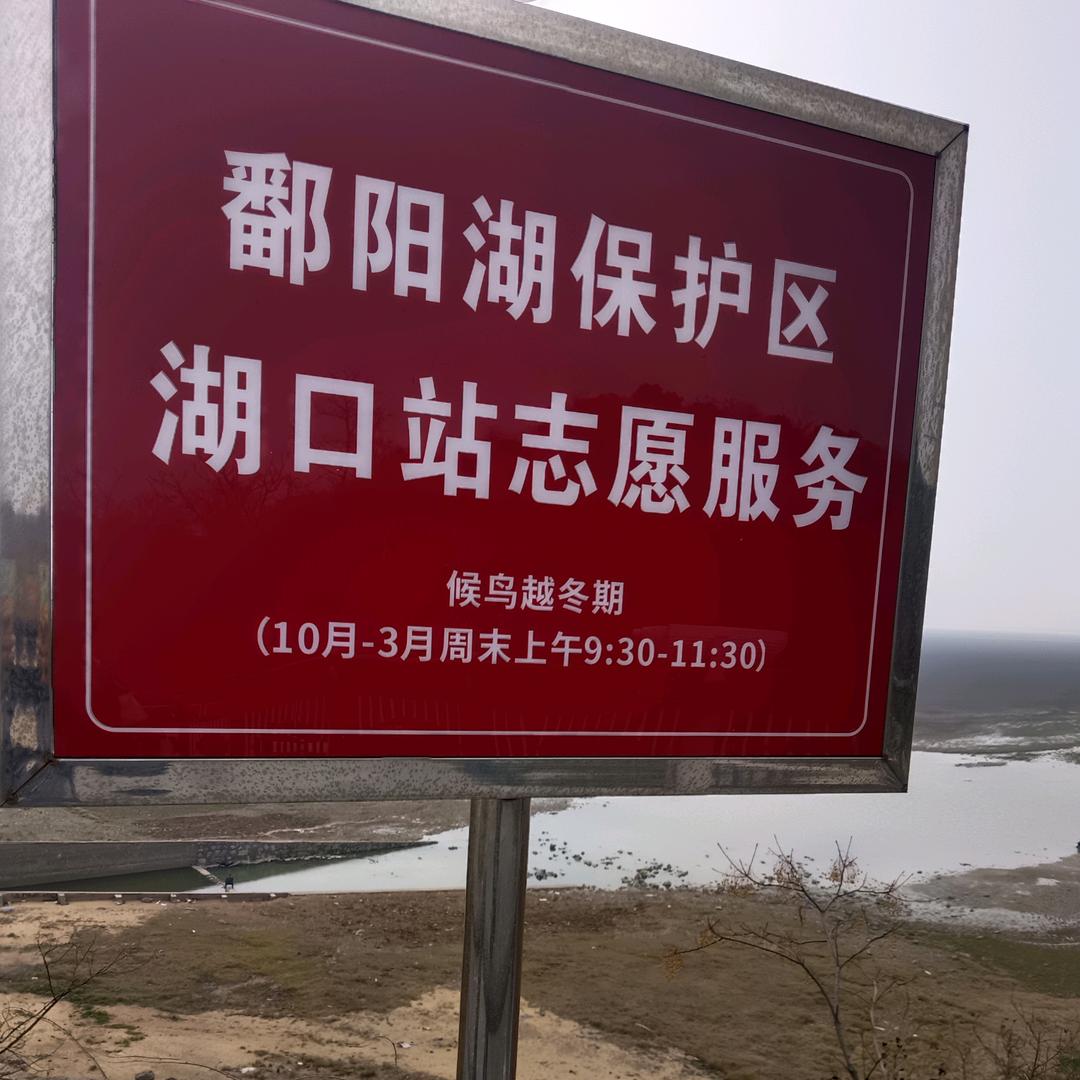 孤独男