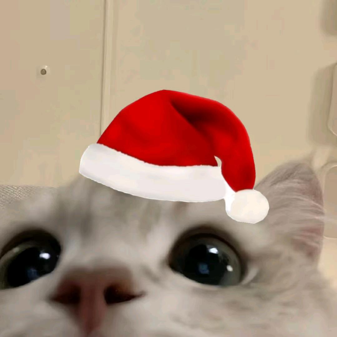 樂O