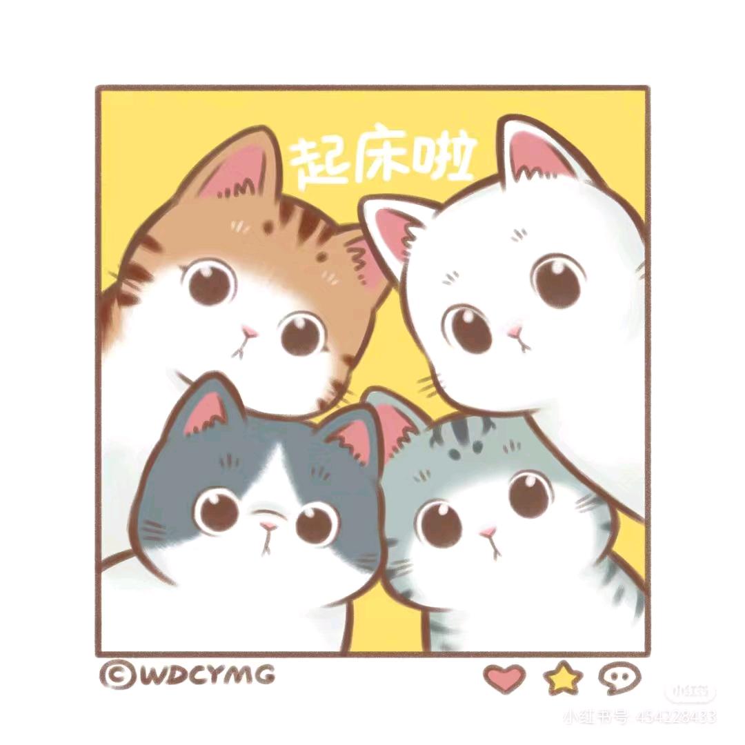 时光如金