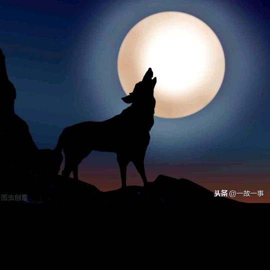 随波逐流