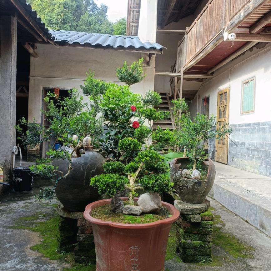 突飞猛进