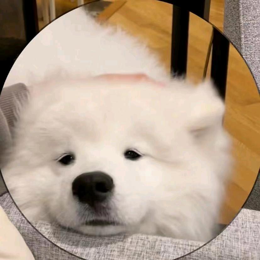 是不阳光给多了