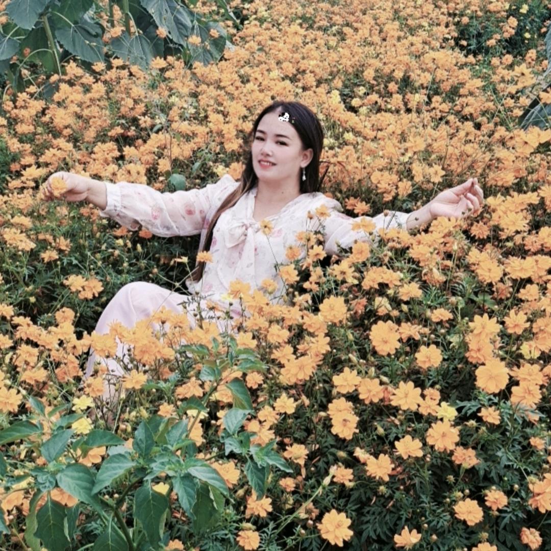 杨婷