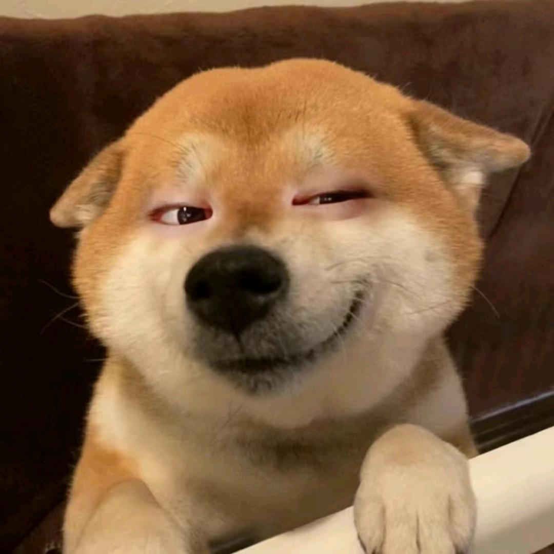 动物分三六九等