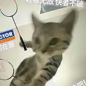 我要会杀球