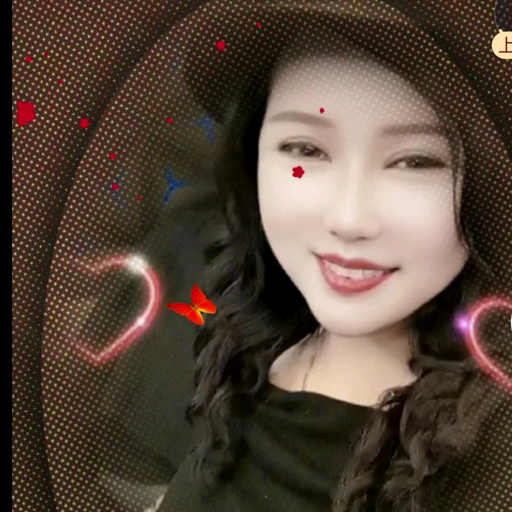 雨蝶，