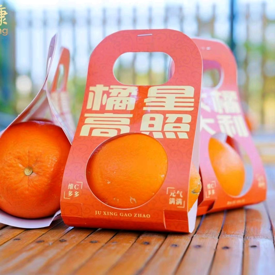 宝可梦阿玉