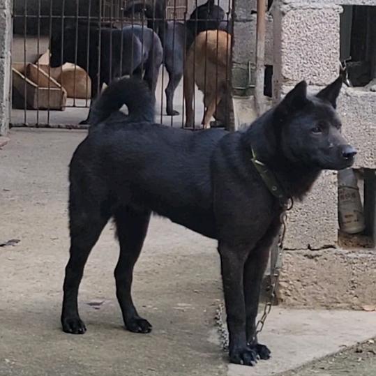 广西河池罗城啊軍