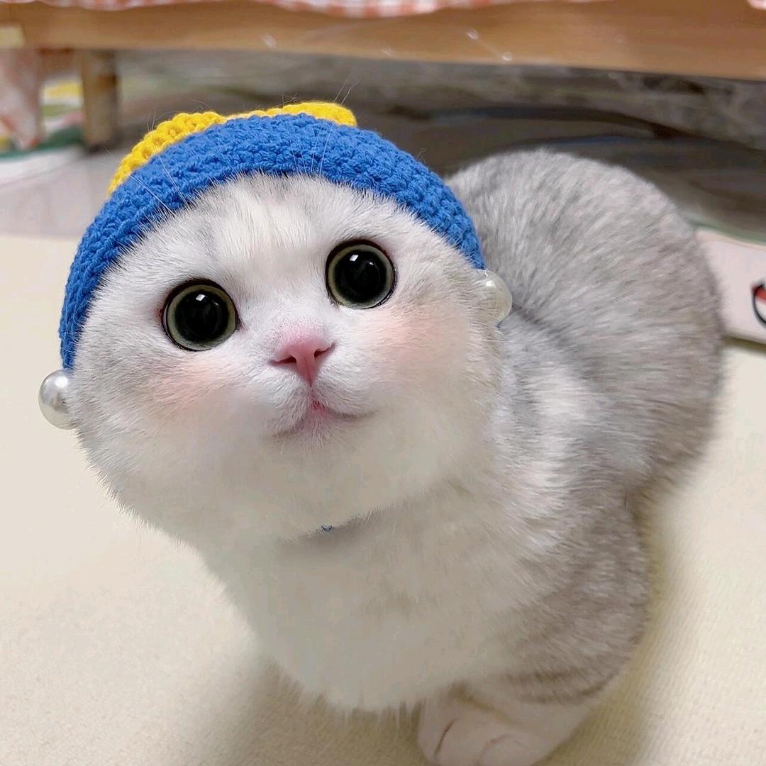 総檉哥