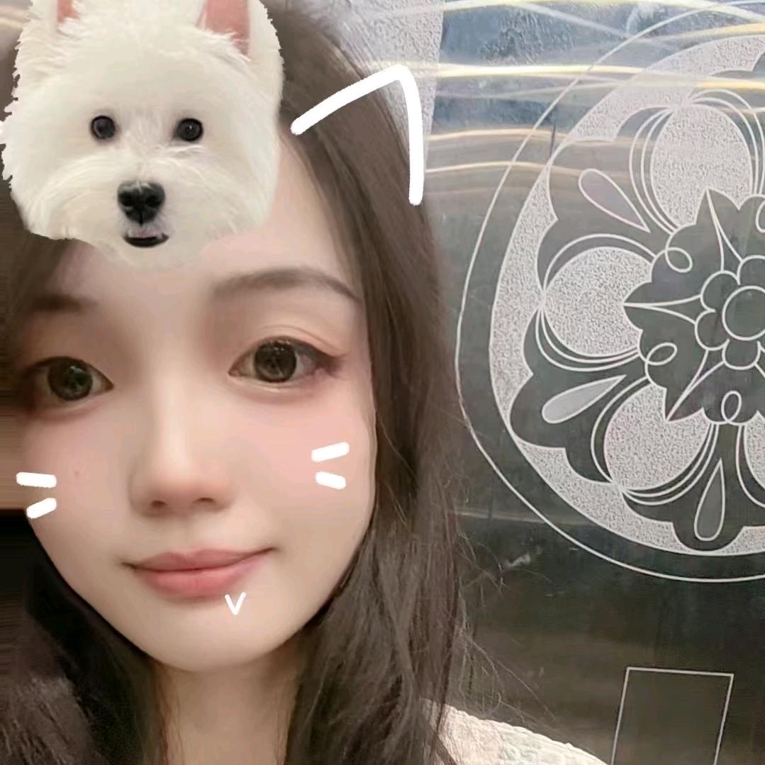 飞儿