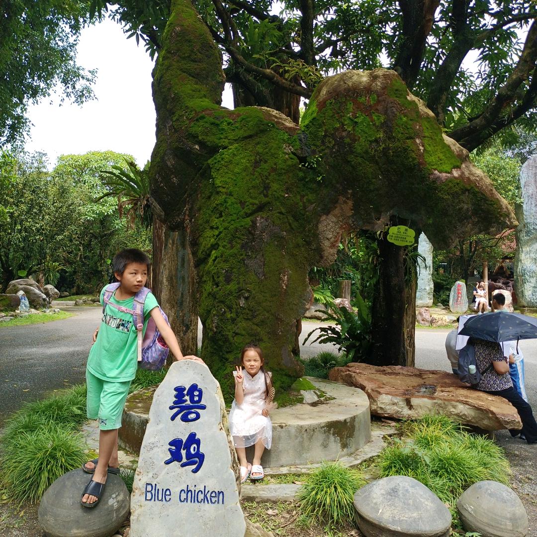 腊勐一品忠发家居 诚信摩托车行
