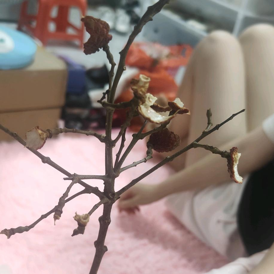 এ᭄ོ不爱ོ💞就滚ృ༊