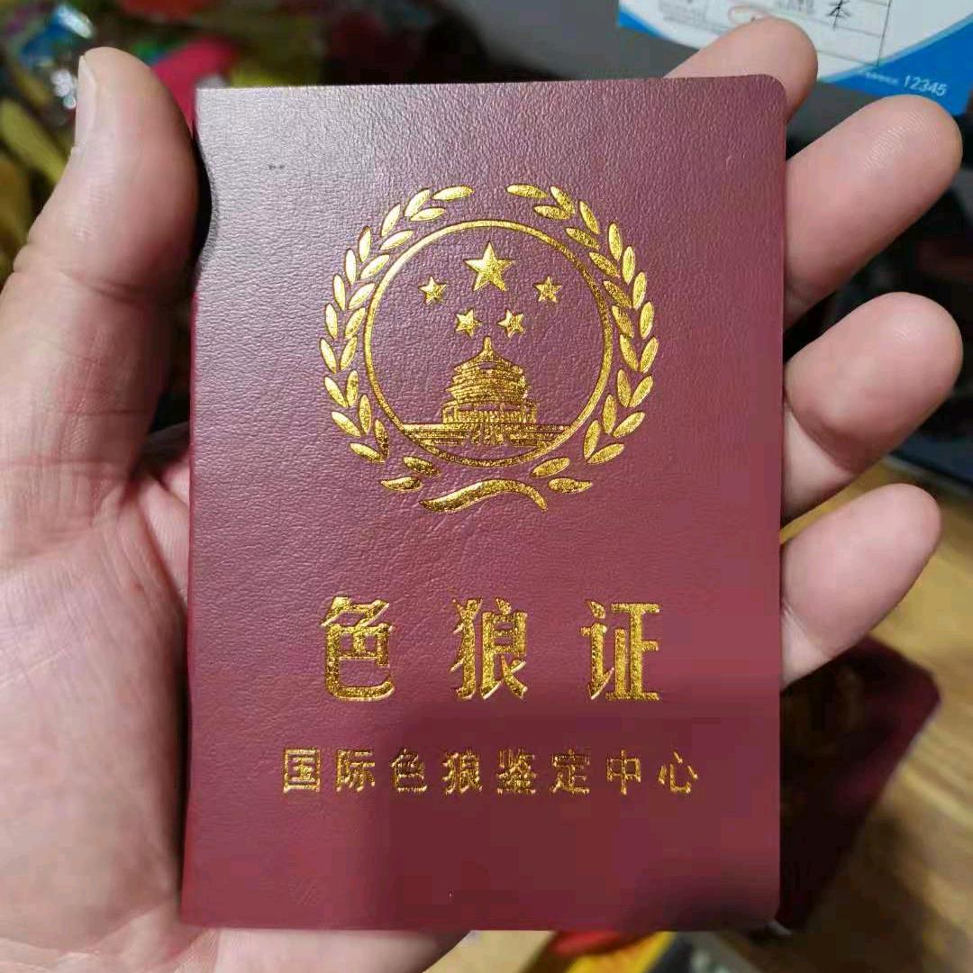 妖孽，休坏我道心