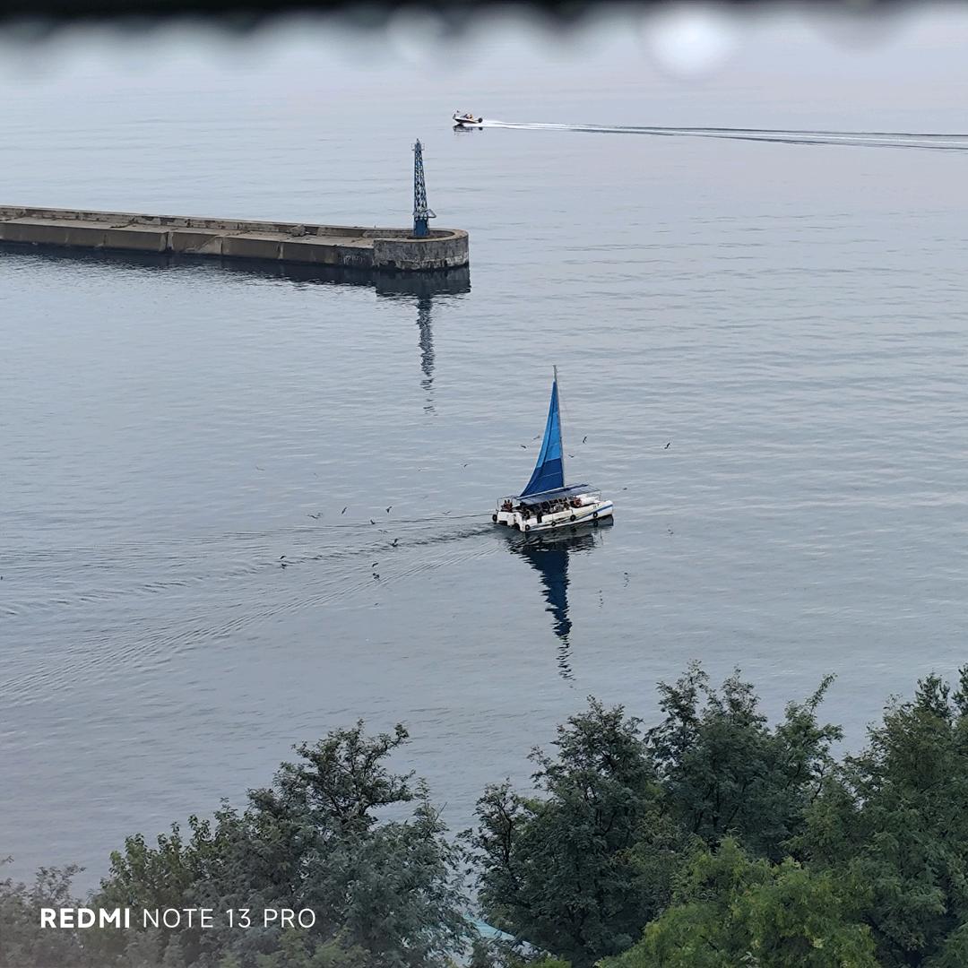 Qin亲💘果rui-糖