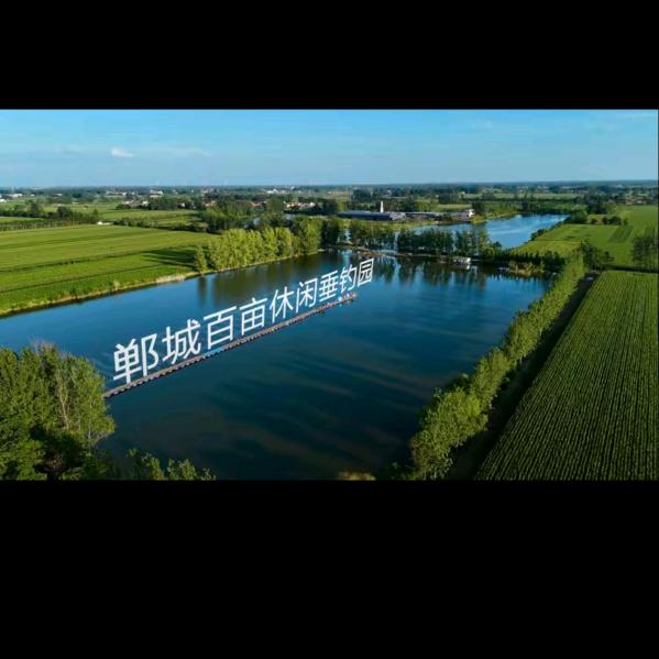 郸城县石槽镇百亩休闲垂钓园