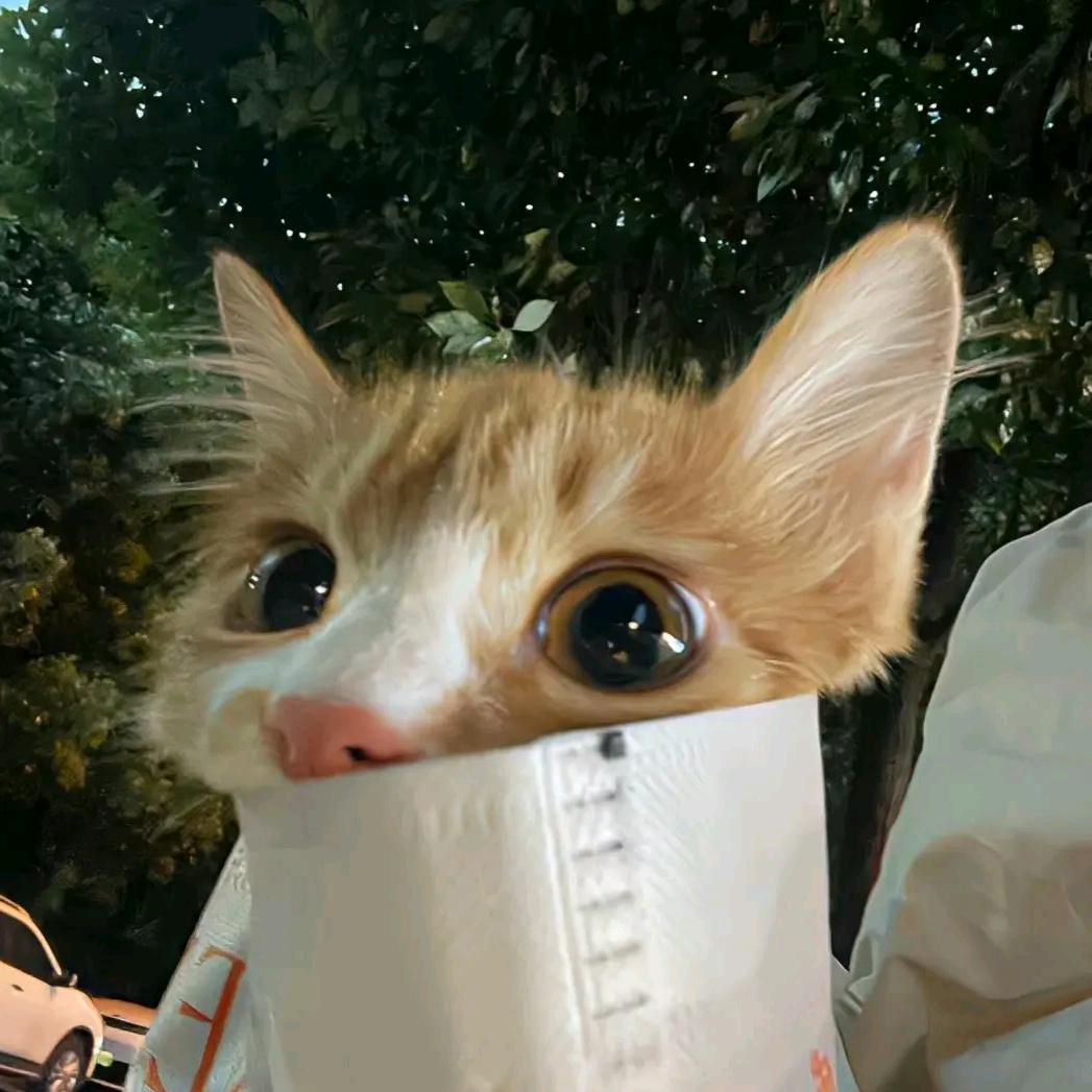 开朗的喷子
