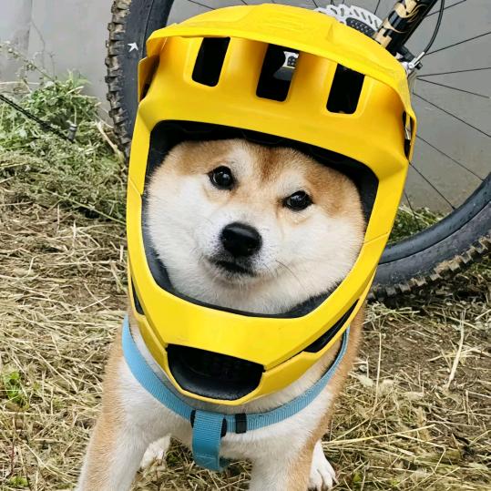 MTB假虚