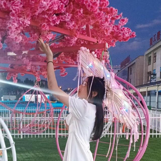 苏～枚枚
