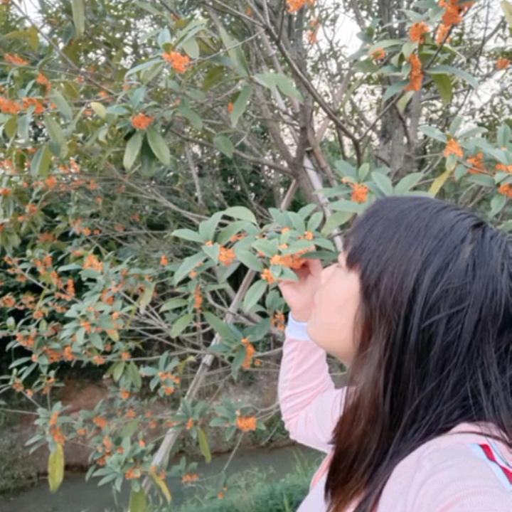 云南的巧美美