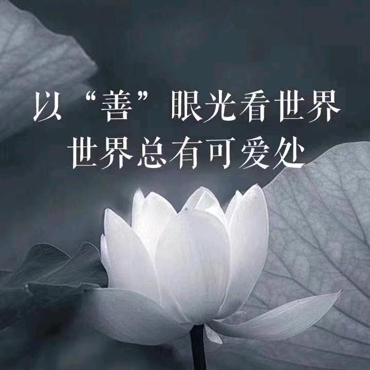 三颗门牙的故事2