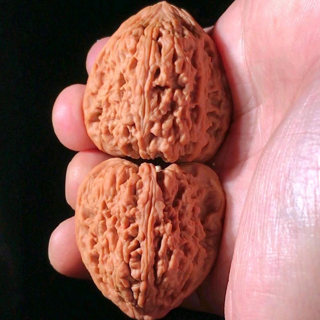 涿鹿南将石核桃缘