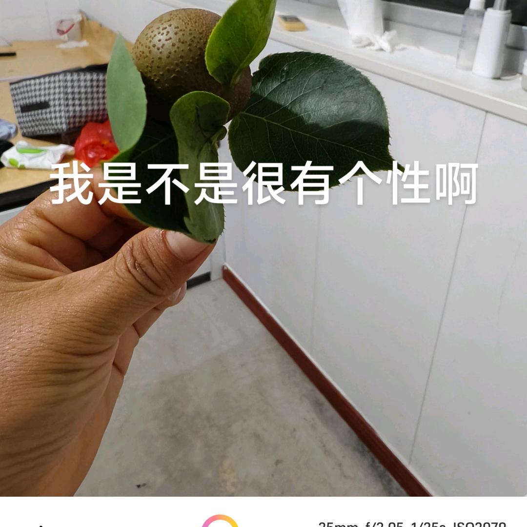 保利农场
