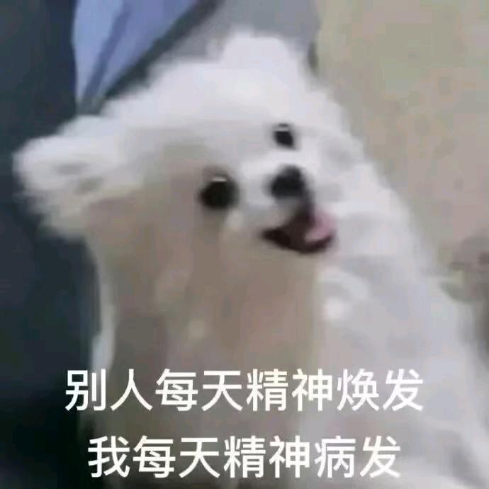 逆天小薯条