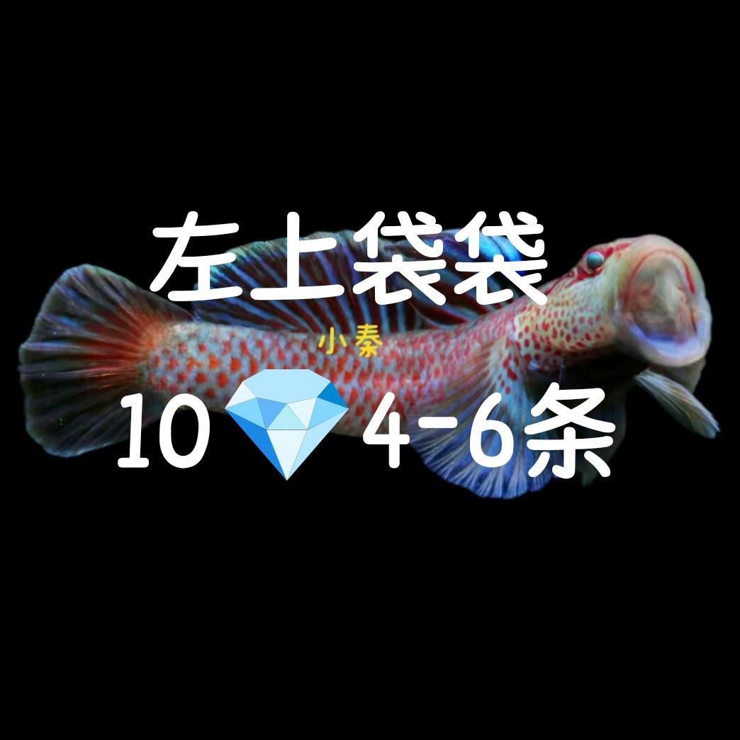直播间中鱼，拿鱼自带泡泡/🛰️/🌏