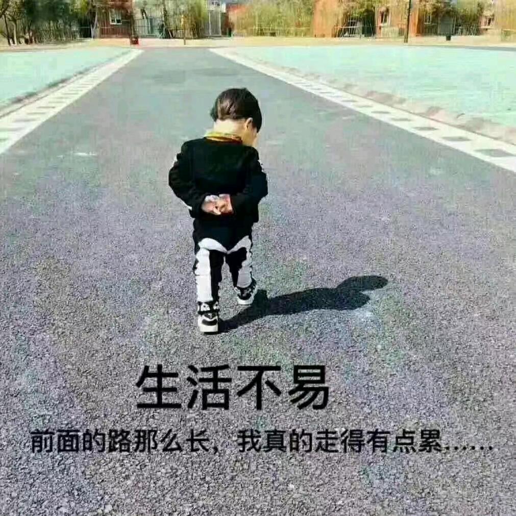 怕冷缺迷上了雪，拒绝私聊