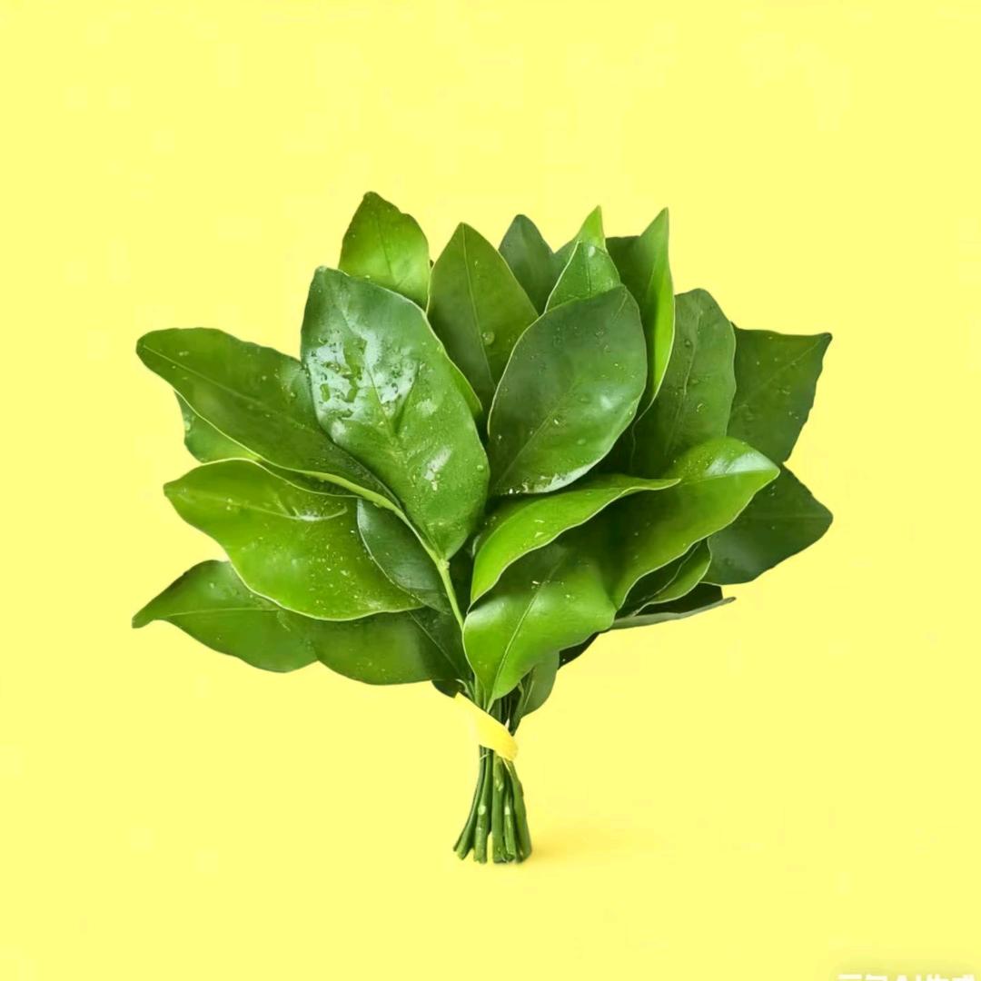 西柚•