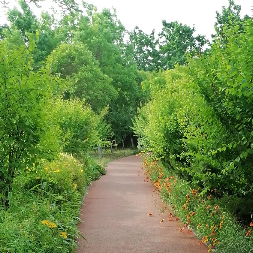 余生照顾好自己♥️