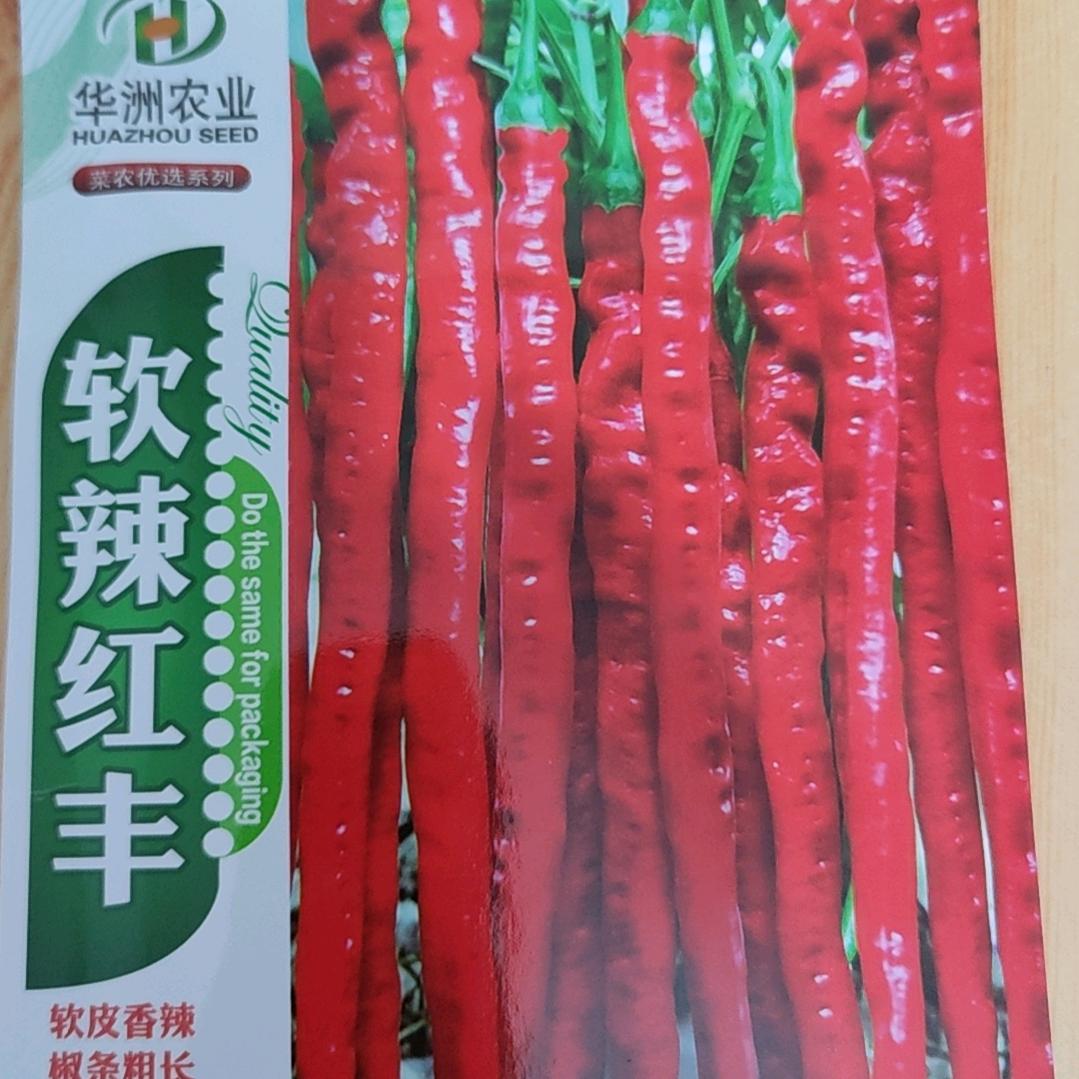 开心每天