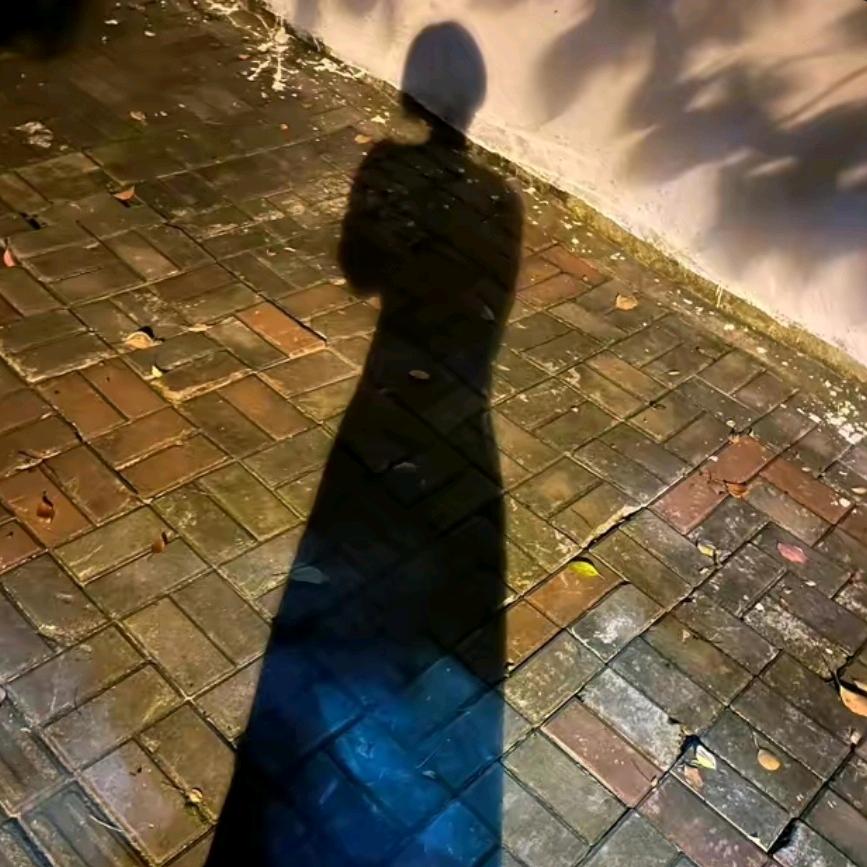 🦄️炫彩🦄️