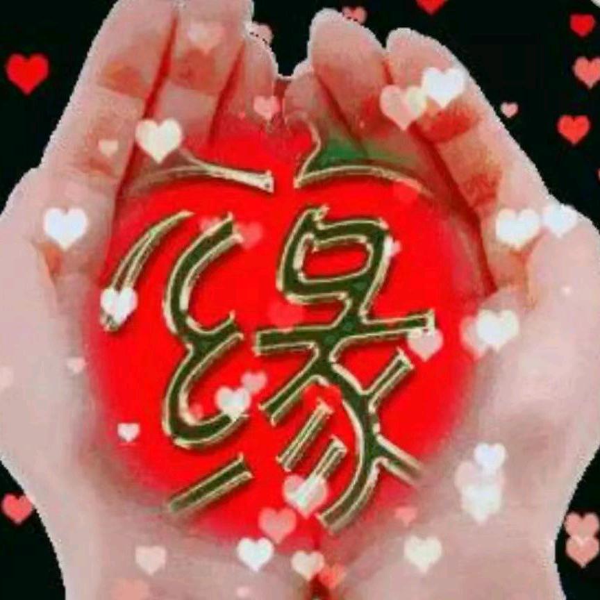 糊里糊涂过一辈子