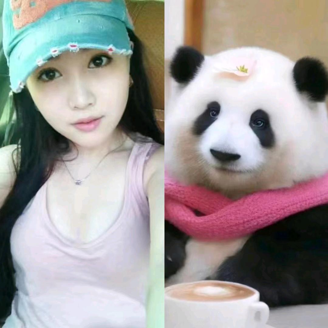 熊猫花花