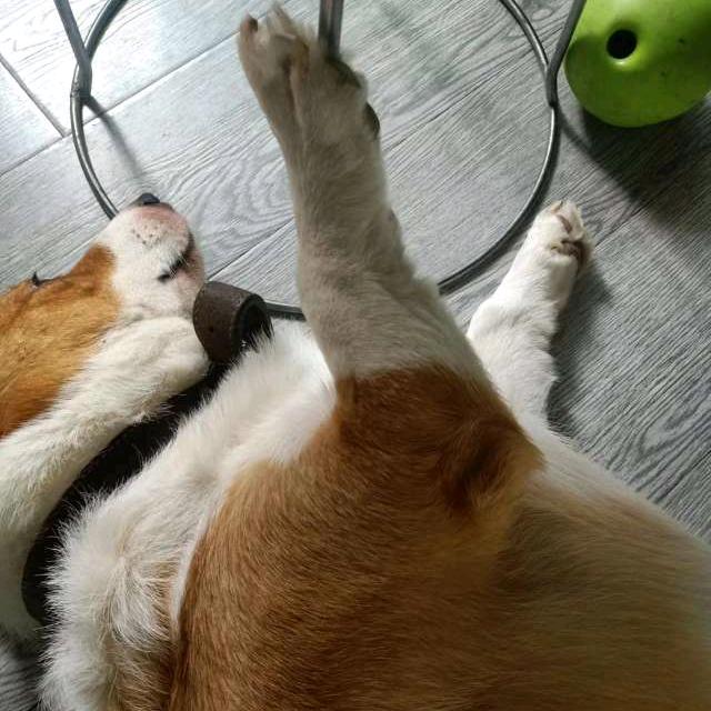 🇨🇳冰雨🇨🇳