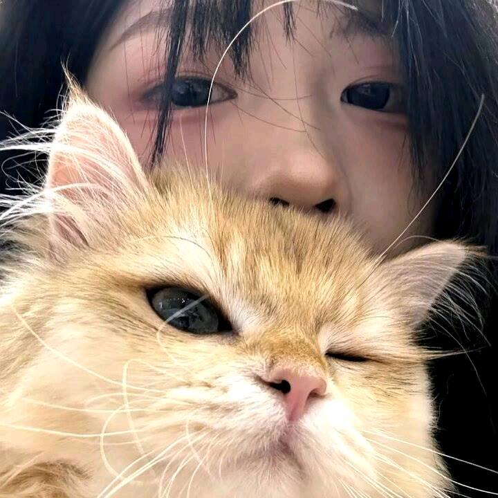 小眼睛