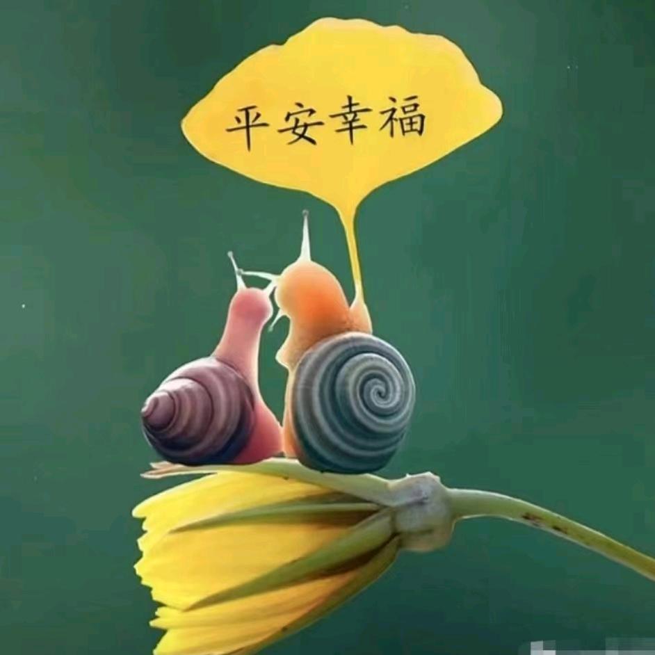 清煮白菜