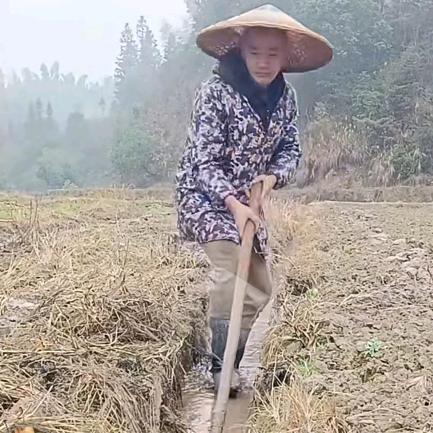 覃兴